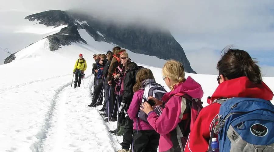 8-Day Kilimanjaro Group Trek via Lemosho Route — photo 4