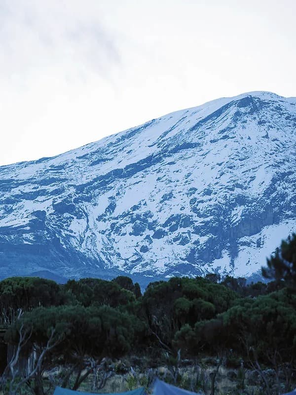 Rescue Kilimanjaro Snow — photo 1