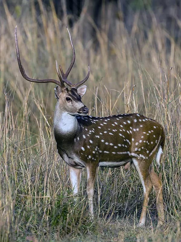 Wild Ecology Conservation Program — photo 1